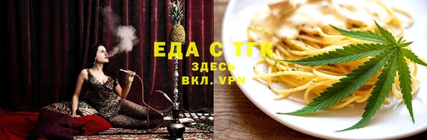 гидра Тында