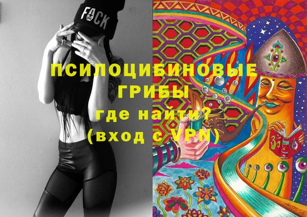 гидра Тында