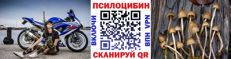 Псилоцибиновые грибы мухоморы  Иланский 